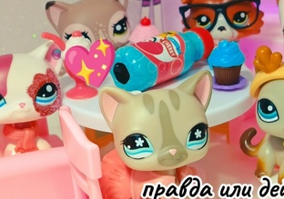 ПРАВДА ИЛИ ДЕЙСТВИЕ?)