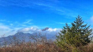 Дневник паломника