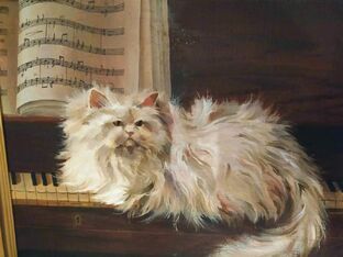 Рисунки котов