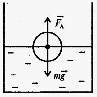 Физика. 7 класс. Динамика