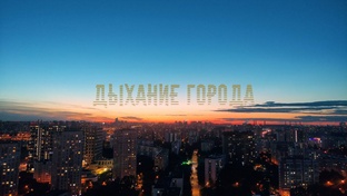 Роман «Дыхание города» Ч.1