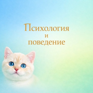 Психология и поведение
