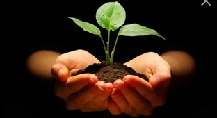 Анализ ГРУНТОВ