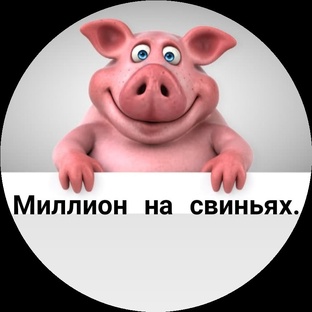 Миллион на свиньях