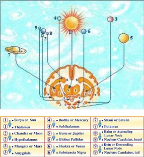 С ЧЕГО НАЧАТЬ? База и основы