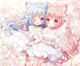 Обои на телефон