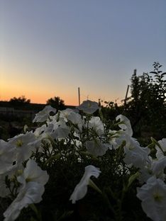 Мотивация 🩷