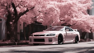 Путешествие по Японии