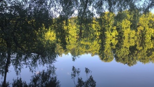 Просто о жизни