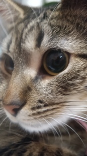 Видеть прекрасное в суете будней