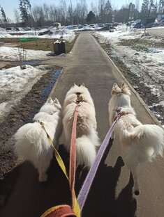 Антидепресанты