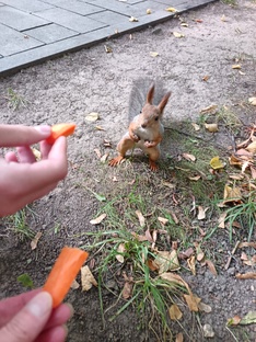 Путь к себе