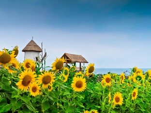 Краснодарский край