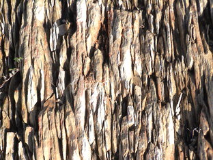 МногА букаФ