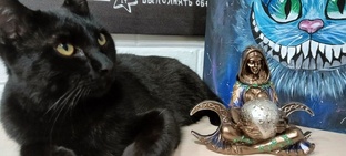 Приветствие!