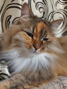 Интересные моменты. Стоп кадр 🎬