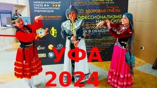 Съезд промышленных пчеловодов в Уфе 2024