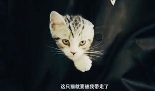 Китайские сериалы