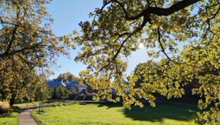 Таро на октябрь