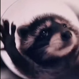 Всё всё всё