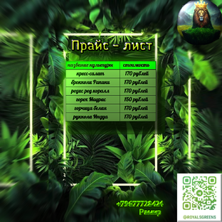 Техника выращивания разных видов микрозелени 