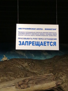 Сочинский аквариум Discovery World