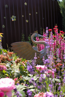 Малоуходные многолетние растения