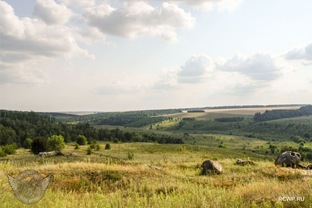 Липецкая область