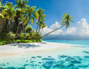 Путешествия по всему миру