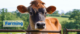 Услуги iFarmig 