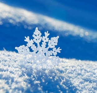 Уборка снега в СНТ