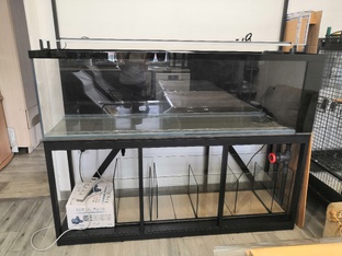 Про аквариум