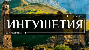 Видео Гиды