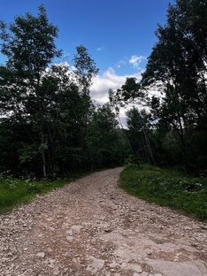 Ближний свет