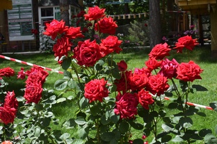 Алматы 2024 год.