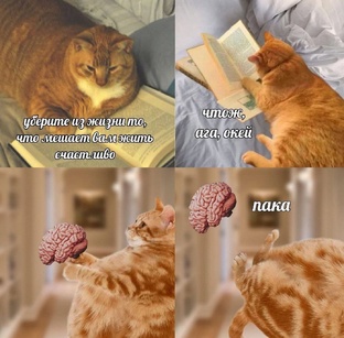 Психология 