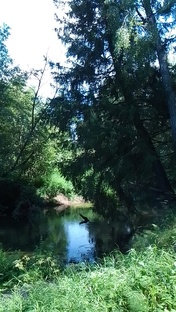 Братья наши меньшие 🐈🐕