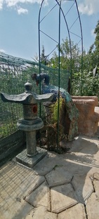 Из бетона для дачи 