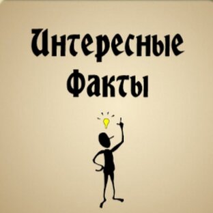 Интересные факты