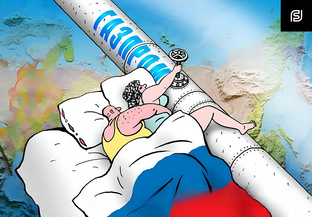 Социобионика