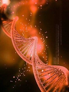 Ченнелинги от Юпитерианских цивилизаций