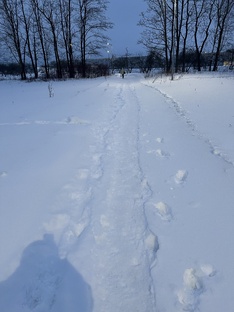 Лирика
