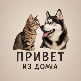 Приветы из дома🏡