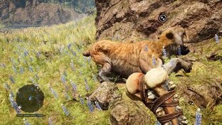Far Cry Primal 