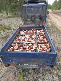 Тихая охота!