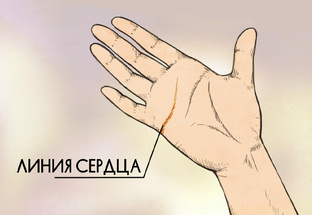 ЛИНИЯ СЕРДЦА