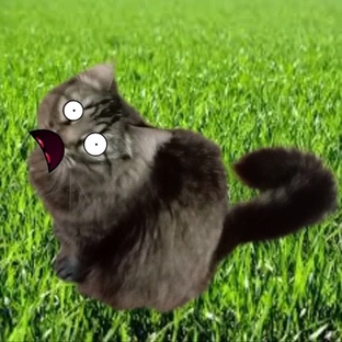 радостные лица флоры Иероглифо шаблон