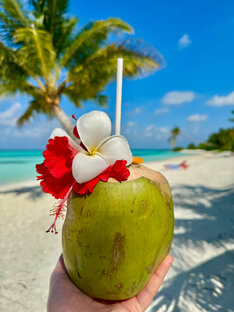 Зарубежные страны