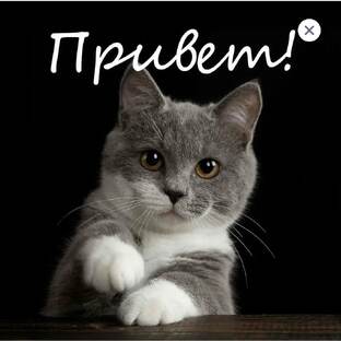 Арты