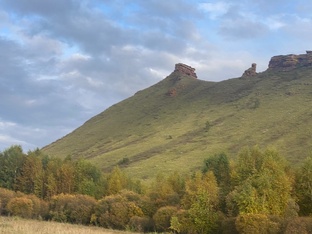 Публицистика